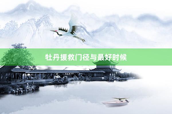 牡丹援救门径与最好时候